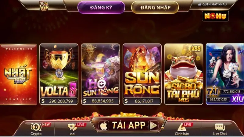 Tổng quan về NhatVip